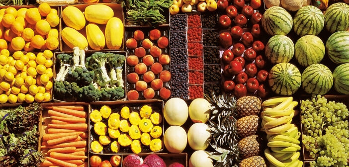 Analysis Of The Valuation Activity On Vegetables And Fruits Chains For Analysis Of The Valuation Activity On Vegetables And Fruits Chains For