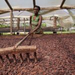 Impact of Public Sector Financial Management on the Economic Growth of Nigeria